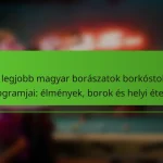 A legjobb magyar borászatok borkóstoló programjai: élmények, borok és helyi ételek