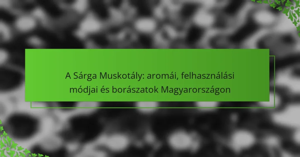 A Sárga Muskotály: aromái, felhasználási módjai és borászatok Magyarországon