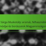 A Sárga Muskotály: aromái, felhasználási módjai és borászatok Magyarországon