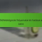 A szőlőfeldolgozás folyamatai és hatásai a bor ízére