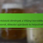 Borkóstoló élmények a Villányi borvidéken: borok, étkezési ajánlások és helyszínek