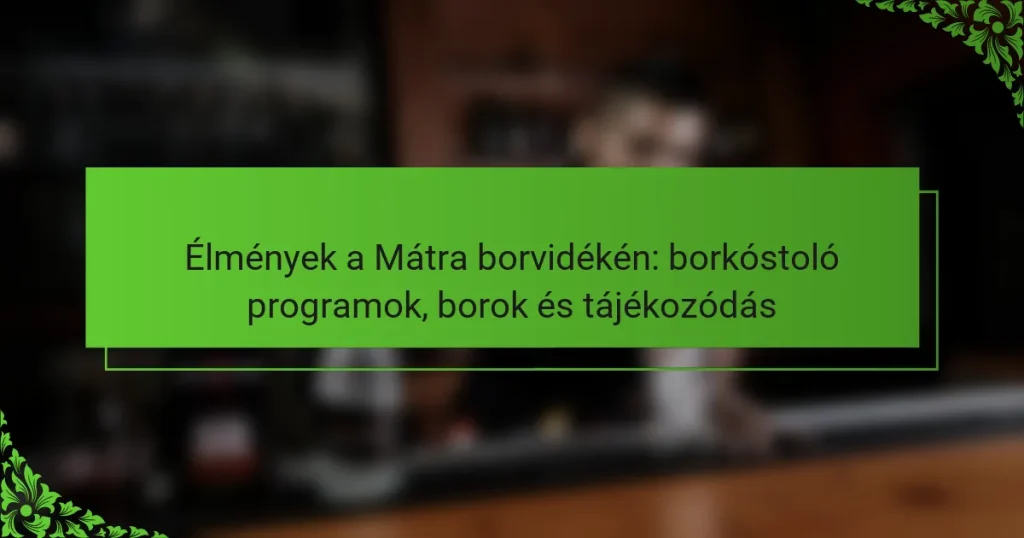 Élmények a Mátra borvidékén: borkóstoló programok, borok és tájékozódás
