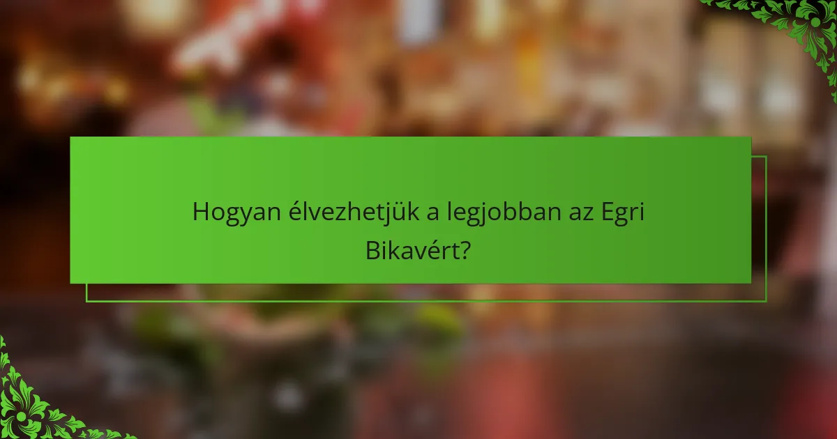 Hogyan élvezhetjük a legjobban az Egri Bikavért?