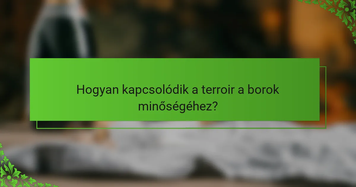 Hogyan kapcsolódik a terroir a borok minőségéhez?
