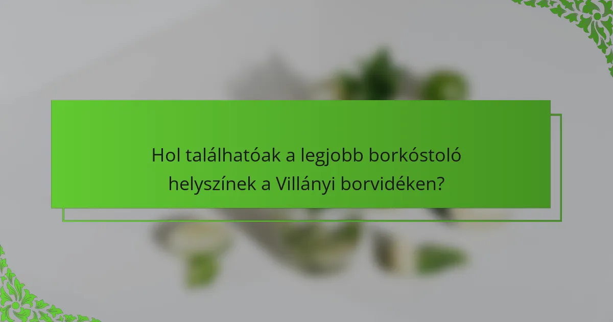 Hol találhatóak a legjobb borkóstoló helyszínek a Villányi borvidéken?