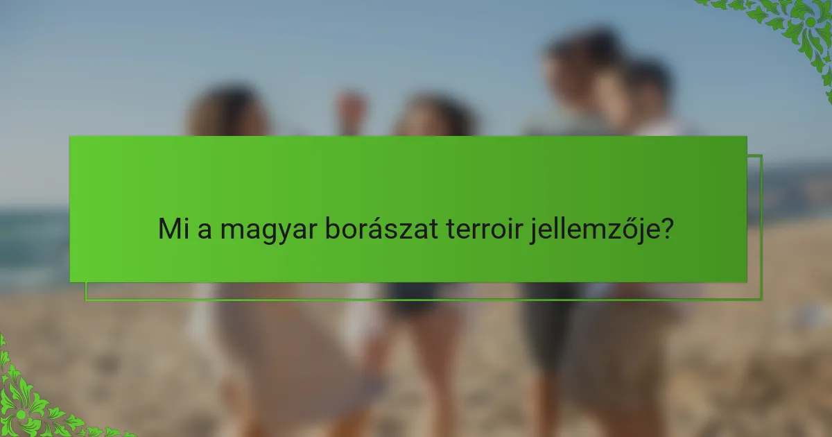 Mi a magyar borászat terroir jellemzője?