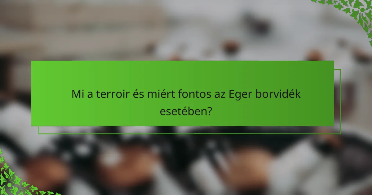 Mi a terroir és miért fontos az Eger borvidék esetében?