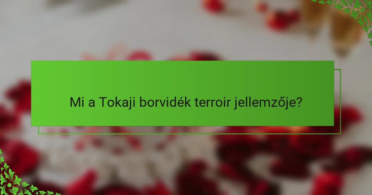 Mi a Tokaji borvidék terroir jellemzője?