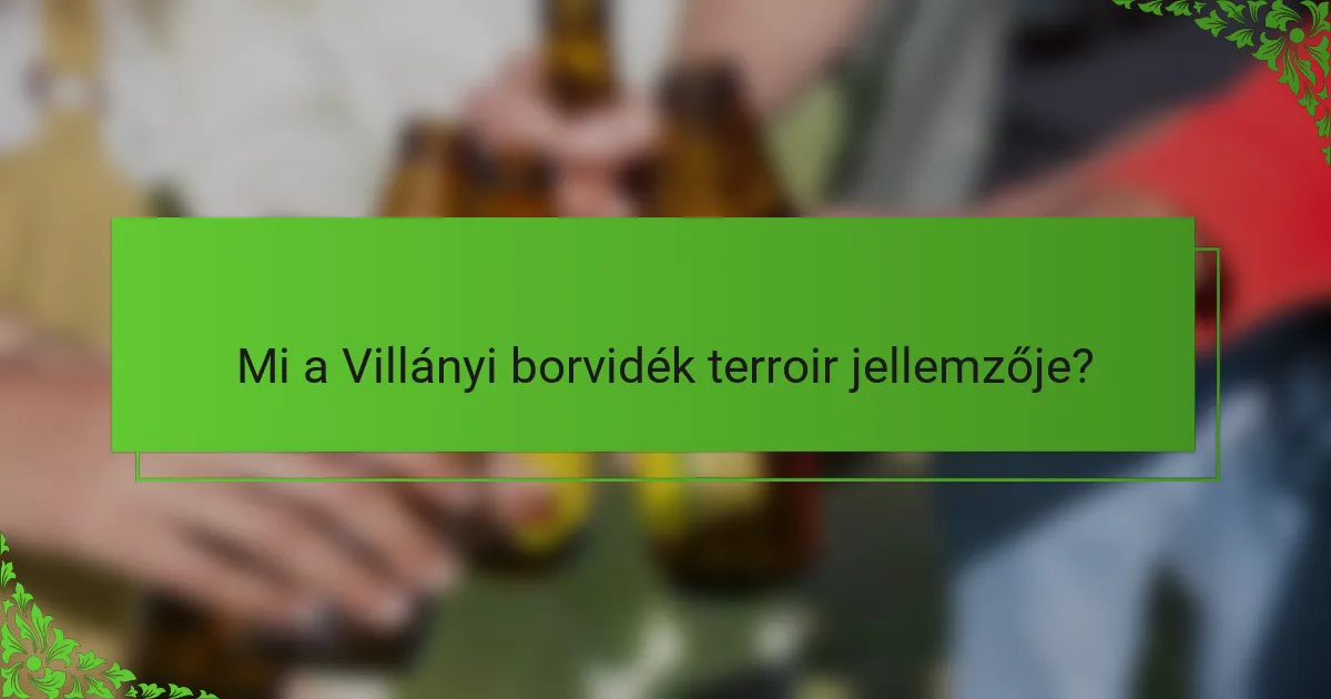 Mi a Villányi borvidék terroir jellemzője?