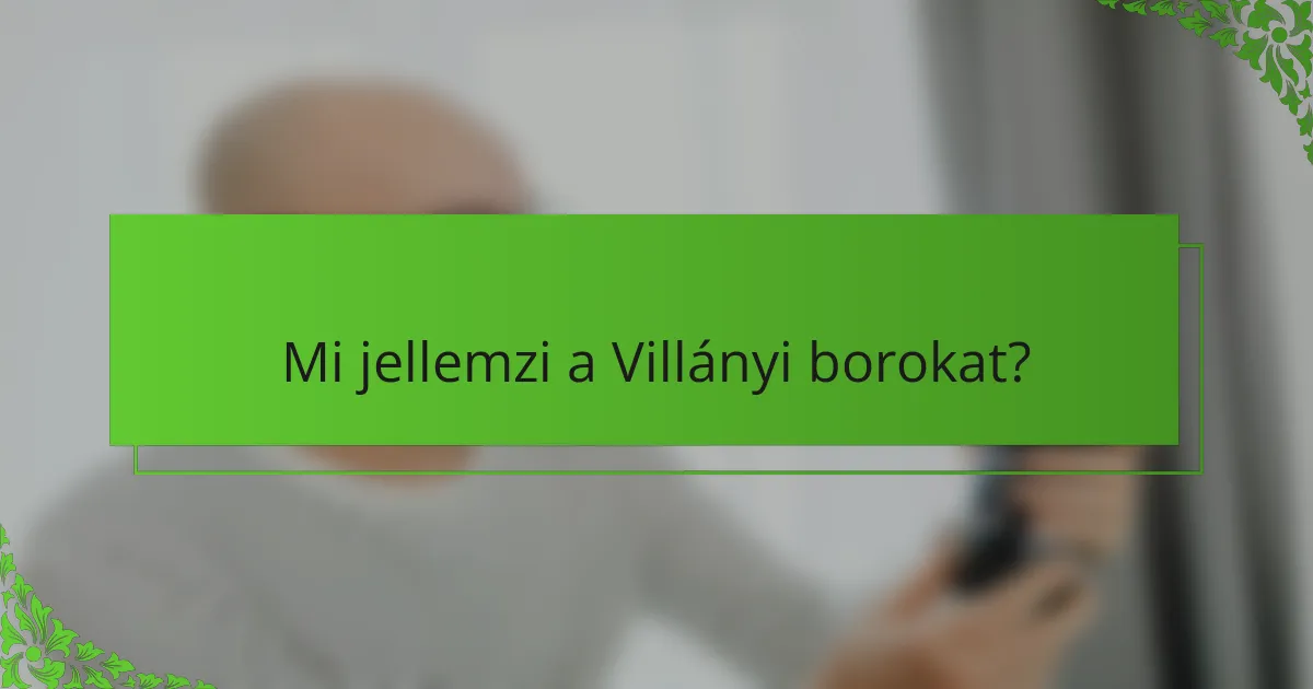 Mi jellemzi a Villányi borokat?