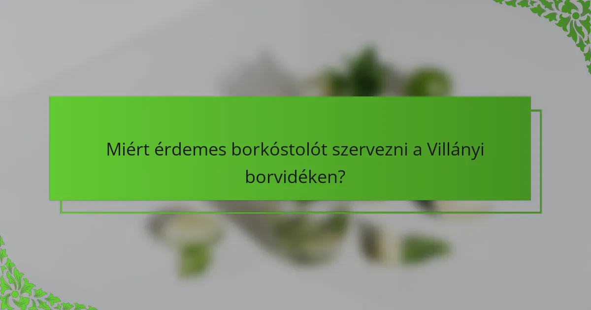 Miért érdemes borkóstolót szervezni a Villányi borvidéken?