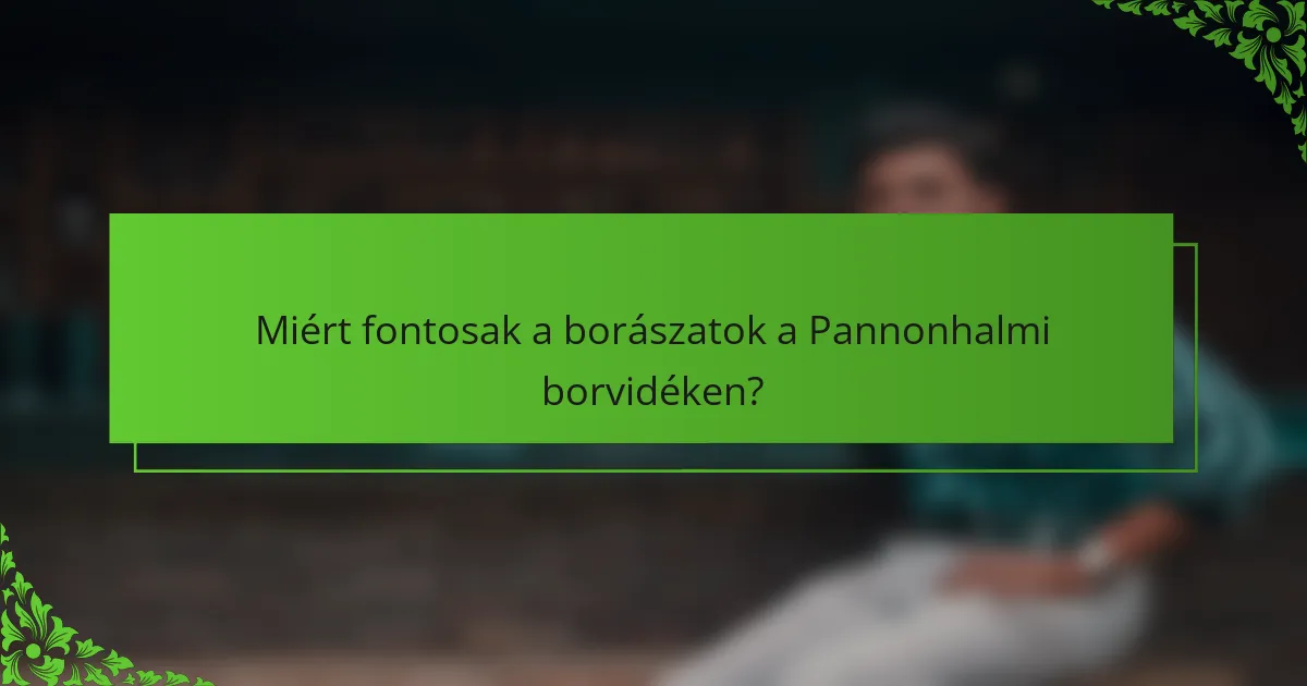 Miért fontosak a borászatok a Pannonhalmi borvidéken?